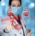  Urology