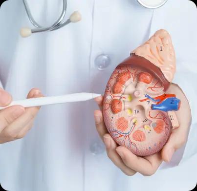  Nephrology