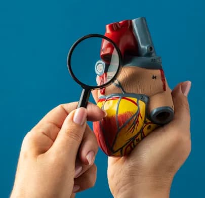 A doctor examining a human heart model with a magnifying glass, illustrating Aortic Valve Replacement and detailed cardiac structure.