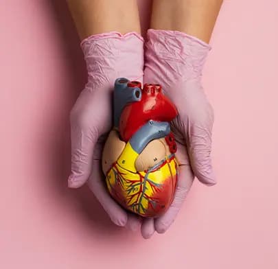 Renal Artery Angioplasty