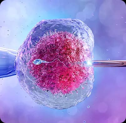 Fertility and IVF