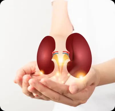 Kidney Transplant