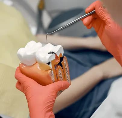 endodontics