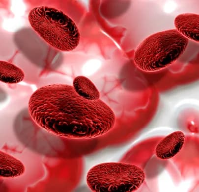 Visualization of red blood cells in plasma, illustrating cellular changes associated with Leukemia.