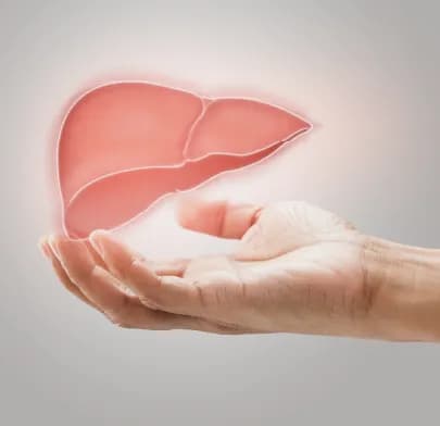 Hand supporting a glowing 3D liver illustration, representing Liver Resection Surgery and liver care.