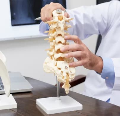 Doctor explains spine model related to Spinal Fusion Surgery in India.