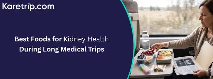 Best Foods for Kidney Health During Long Medical Trips